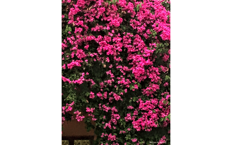 3b067516-e268-464b-91fd-e985ee3e802a